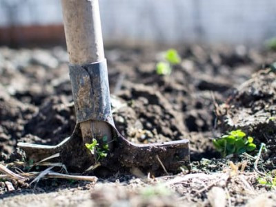 Tuin en landbouw